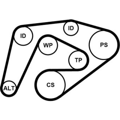 6PK2260K3 Keilrippenriemensatz 6PK2260K3 Keilrippenriemensatz