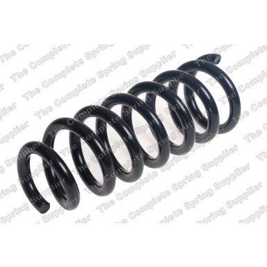 4227649 Fahrwerksfeder