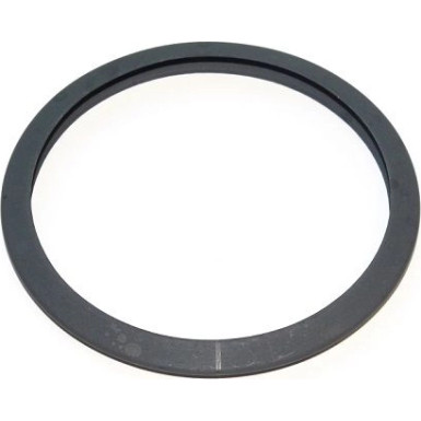 541.313 Dichtung, Lader