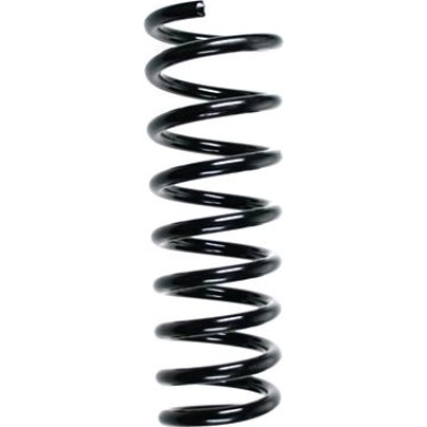 Spidan | Fahrwerksfeder | 55579