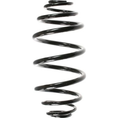Spidan | Fahrwerksfeder | 55978