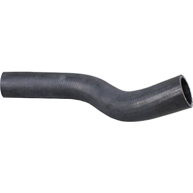 2421091 Kühlerschlauch