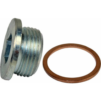 8030008 Verschlussschraube, Ölwanne