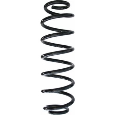 Spidan | Fahrwerksfeder | 87629