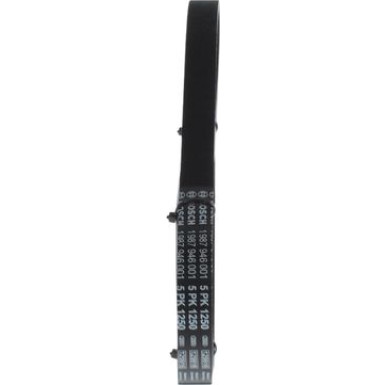 1 987 946 001 Keilrippenriemen