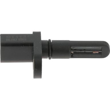 BorgWarner (BERU) Sensor, Ansauglufttemperatur ST113