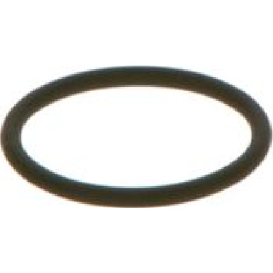 F 00V D38 010 Dichtring, Düsenschacht