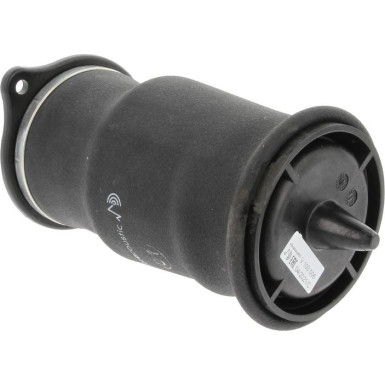 80001152 Luftfeder, Fahrwerk 80001152 Luftfeder, Fahrwerk