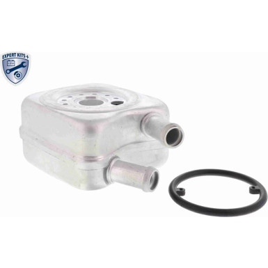 V15-60-6010 Ölkühler, Motoröl EXPERT KITS +