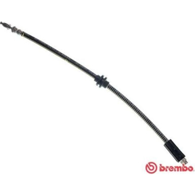 Brembo | Bremsschlauch | T 61 028