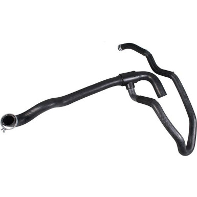 2421984 Kühlerschlauch