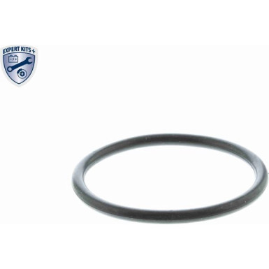 V15-99-1894 Thermostat, Kühlmittel EXPERT KITS +