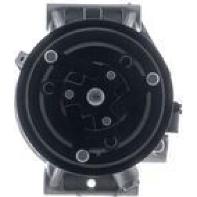 Mahle | Kompressor, Klimaanlage | ACP 1569 000P