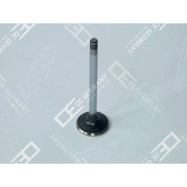 04 0520 101301 Auslassventil