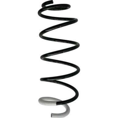 Spidan 2 x SPIDAN Fahrwerksfeder 87351