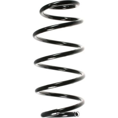 Spidan | Fahrwerksfeder | 55967