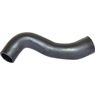 2420162 Kühlerschlauch