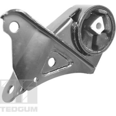 Tedgum | Lagerung, Motor | 00131530