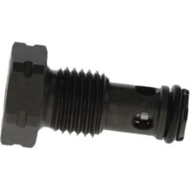 BOSCH | Ventil, Einspritzanlage | F 00N 202 279