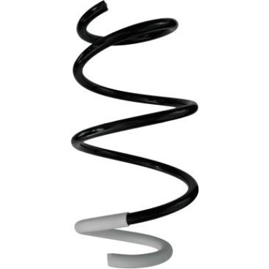 Spidan | Fahrwerksfeder | 87047