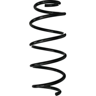 Spidan | Fahrwerksfeder | 87983