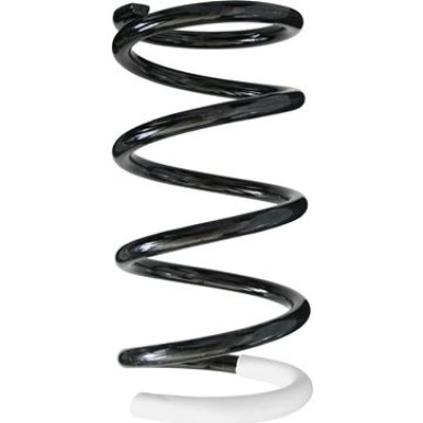 Spidan | Fahrwerksfeder | 56454