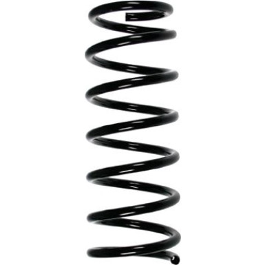 Spidan | Fahrwerksfeder | 55047