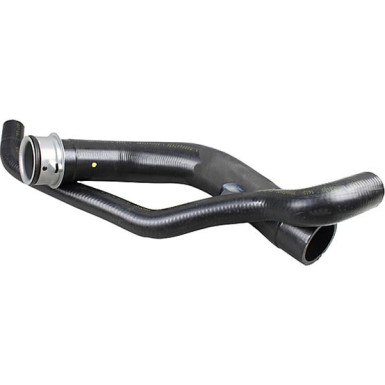 2420971 Kühlerschlauch