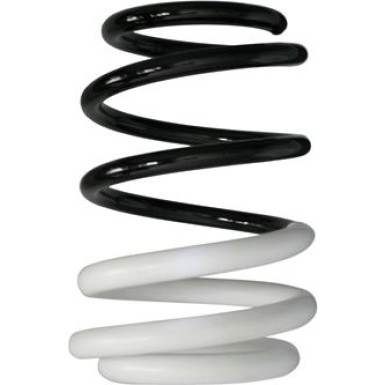 Spidan | Fahrwerksfeder | 88007