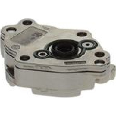 BOSCH Kraftstoffpumpe 0 440 020 065