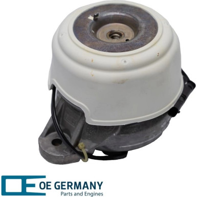 OE Germany Lagerung, Motor Genuine-Part 800419 OE Germany Lagerung, Motor Genuine-Part 800419