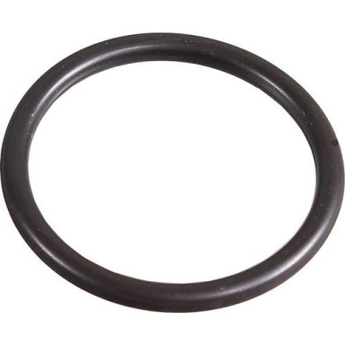Metzger Dichtring 2430034