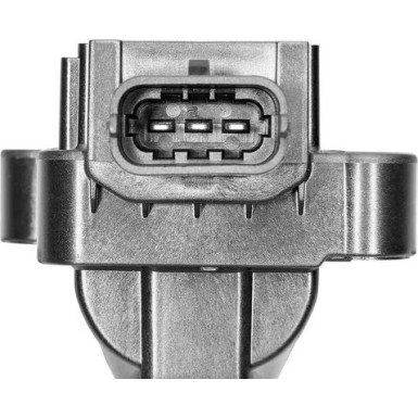 BorgWarner (BERU) Zündspule ZS041