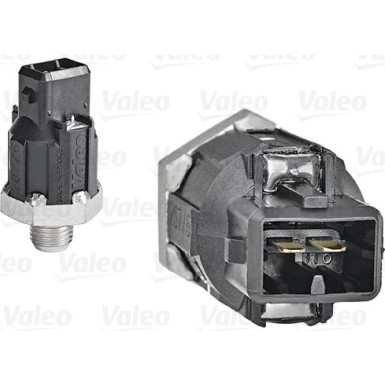 Valeo Klopfsensor 255400