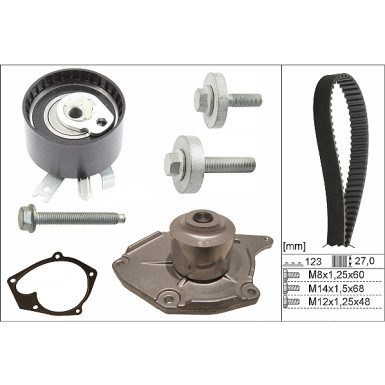 INA Wasserpumpe + Zahnriemensatz 530 0197 31