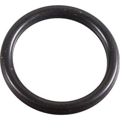 Metzger Dichtring 2430125