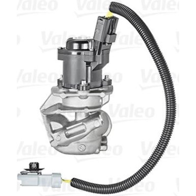 Valeo AGR-Ventil 700412