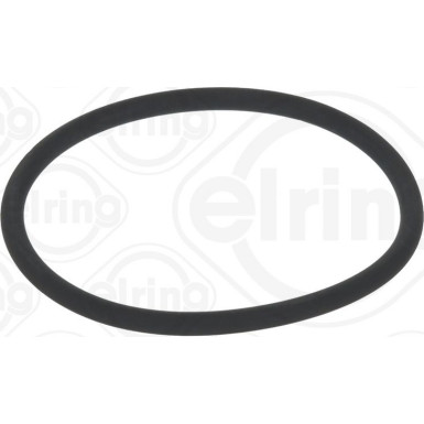 Dichtring 789.970 Dichtring 789.970
