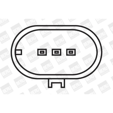 BorgWarner (BERU) Zündspule ZS068