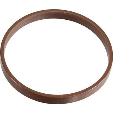 Dichtring 2430093 Dichtring 2430093