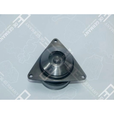 OE Germany Wasserpumpe, Motorkühlung 09 2000 C60000