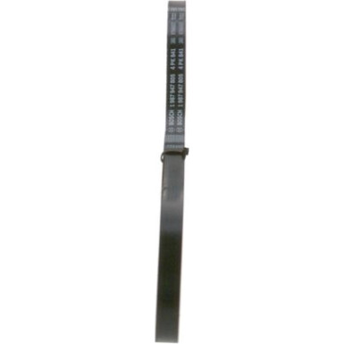 BOSCH Keilrippenriemen 1 987 947 805