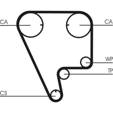 ContiTech Zahnriemen CT794