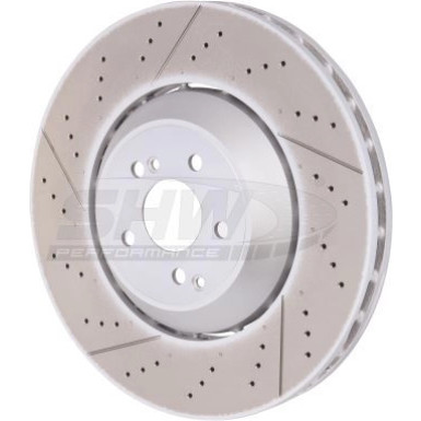 SHW Performance Bremsscheibe TFX49150