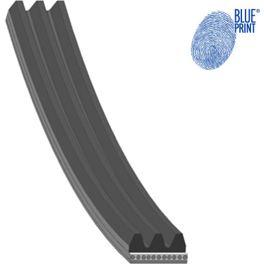 Blue Print Keilrippenriemen AD03R668