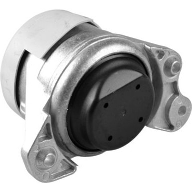 Tedgum Lagerung, Motor TED46809