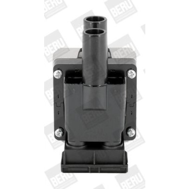 BorgWarner (BERU) Zündspule ZS313