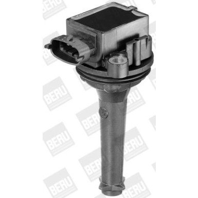 BorgWarner (BERU) Zündspule ZSE019