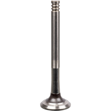 FEBI BILSTEIN 21008 Auslassventil FEBI BILSTEIN 21008 Auslassventil