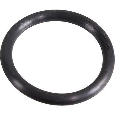 Metzger Dichtring 2430117